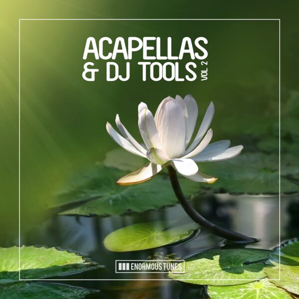 Enormous Tunes – Acapellas & DJ Tools, Vol. 2