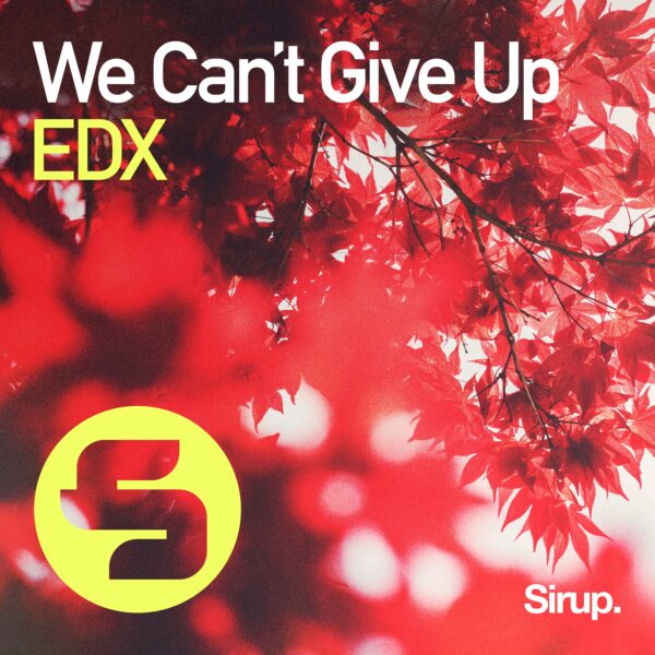 We Can’t Give Up