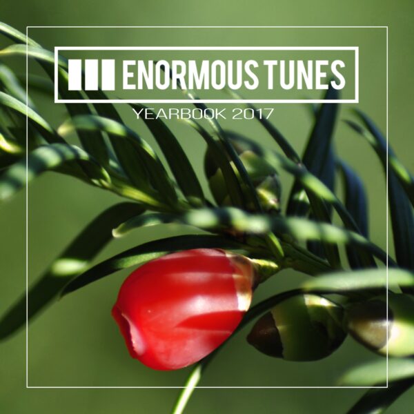 Enormous Tunes – Yearbook 2017