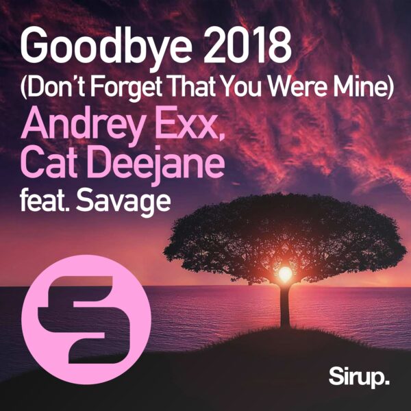 Goodbye (Don’t Forget That You Were Mine) 2018