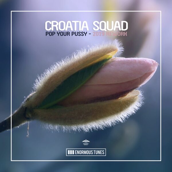 Pop Your Pussy (2019 Rework)