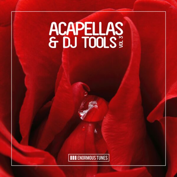 Enormous Tunes – Acapellas & DJ-Tools, Vol. 3