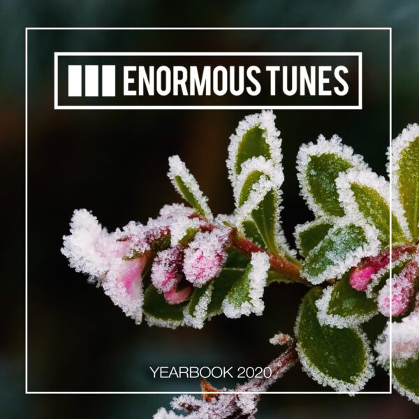 Enormous Tunes – The Yearbook 2020