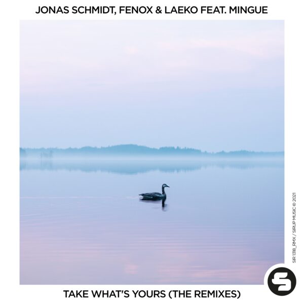 Take What’s Yours (The Remixes)