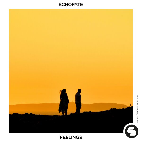 Feelings
