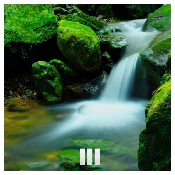 Nature’s Watercourse