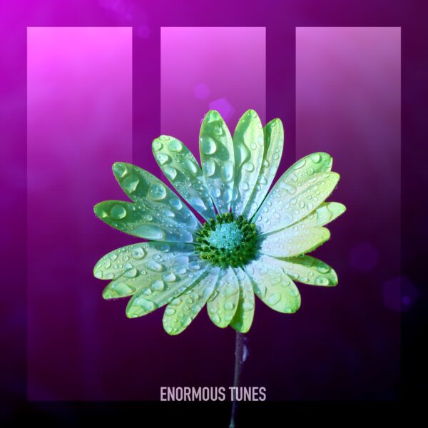 Countdown (Vicissu Remixes)