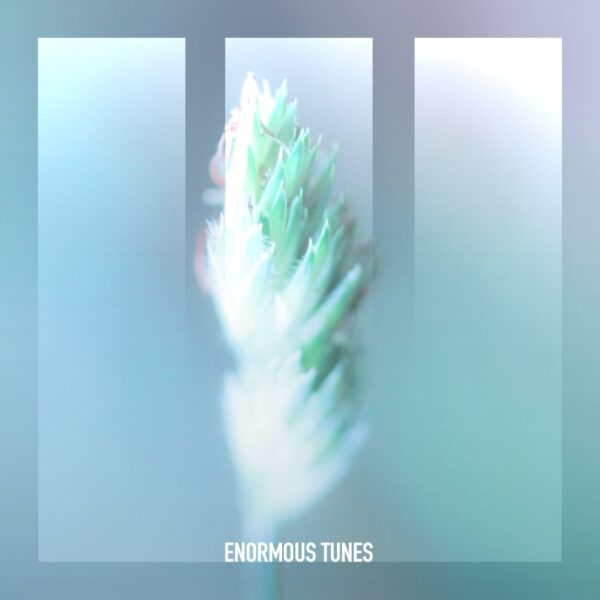 Silent Echoes