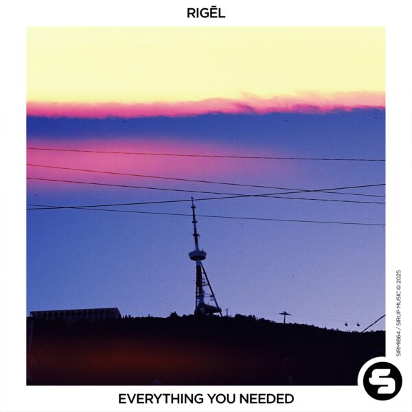 Everything You Needed