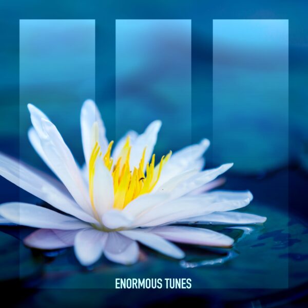 White Lotus